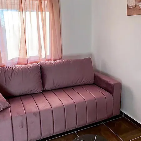 Pet Friendly In